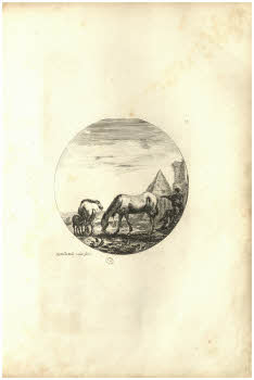 Vol.%20Z%20132%2C%20tav.%2013